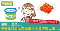 優格、泡菜...哪種乳酸菌活力更強大？發酵博士說...