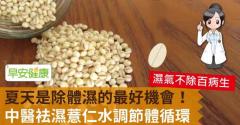 夏天是除體濕的最好機會！中醫袪濕薏仁水調節體循環