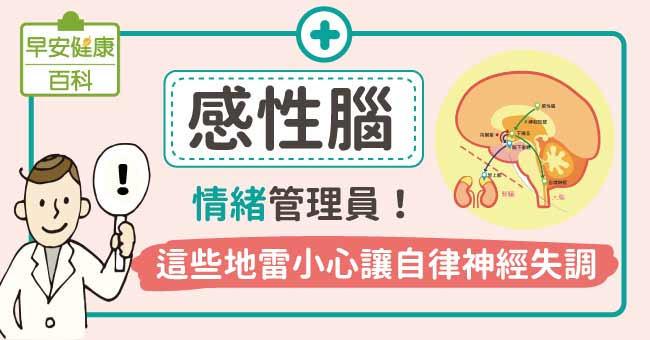 感性腦：情緒管理員！這些地雷小心讓自律神經失調