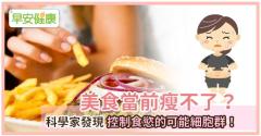 美食當前瘦不了？科學家發現控制食慾的可能細胞群！