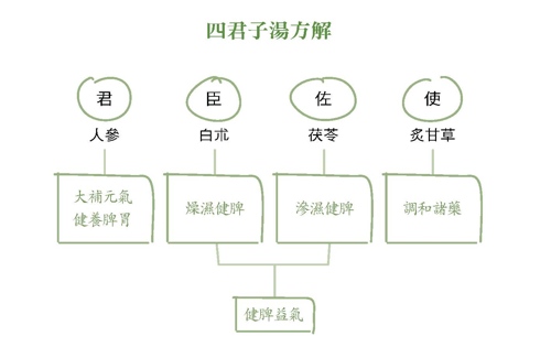 君子湯,人參,白朮,茯苓,炙甘草