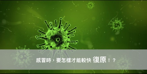 感冒,康復,呼吸道