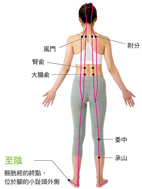 膀胱經穴位
