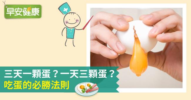 三天一顆蛋？一天三顆蛋？吃蛋的必勝法則