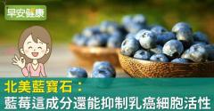 北美藍寶石：藍莓這成分還能抑制乳癌細胞活性