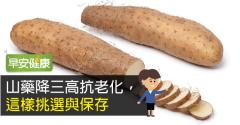 山藥當令補氣，護胃、防癌又抗老！