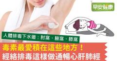 毒素最愛積在這些地方！經絡排毒這樣做通暢心肝肺經