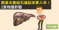 膽囊炎膽結石痛起來要人命！2食物護肝膽