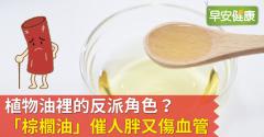 植物油裡的反派角色？「棕櫚油」催人胖又傷血管！