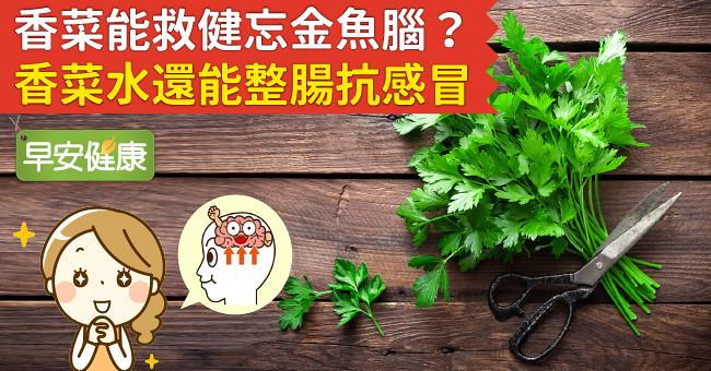香菜能救健忘金魚腦？香菜水還能整腸抗感冒！