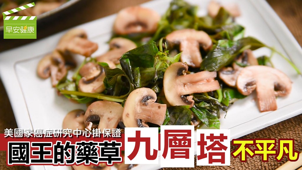 美國家癌症研究中心掛保證，國王的藥草「九層塔」不平凡