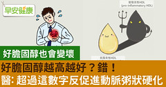 好膽固醇越高越好？錯！醫：超過這數字反促進動脈粥狀硬化發生