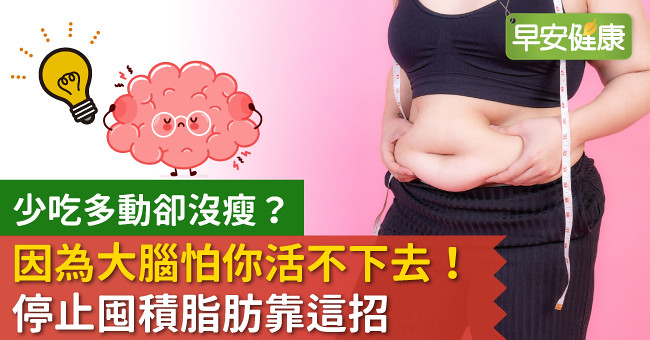 少吃多動卻沒瘦？因為大腦怕你活不下去！停止囤積脂肪靠這招