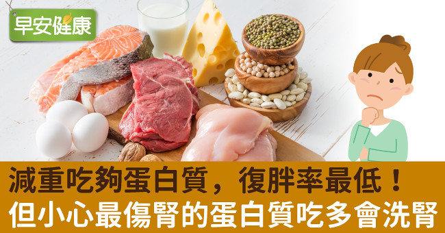 減重吃夠蛋白質，復胖率最低！但小心最傷腎的蛋白質吃多會洗腎