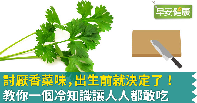 討厭香菜味，出生前就決定了！教你一個冷知識讓人人都敢吃