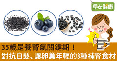 35歲是養腎氣關鍵期！對抗白髮、讓卵巢年輕的3種補腎食材