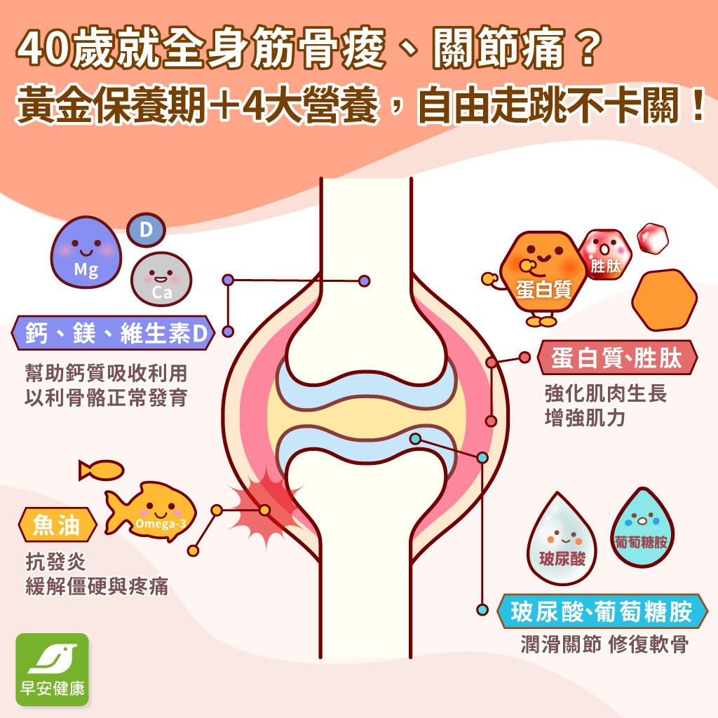 才４０歲關節痛已找上門？把握黃金保養期，繼續自由走跳不卡關