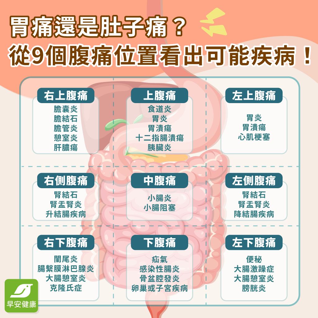 9個腹痛位置看出可能疾病