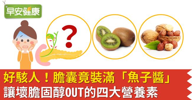 好駭人！膽囊竟裝滿「魚子醬」讓壞膽固醇OUT的四大營養素