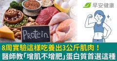 8周實驗這樣吃養出3公斤肌肉！醫師教「增肌不增肥」蛋白質首選這種